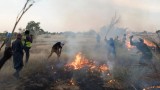 "Hoả ngục Sahara': Những bóng lưng tình nguyện đối đầu với lửa