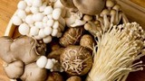 Những lưu ý ‘sống còn’ khi ăn nấm, nhớ cho kỹ kẻo ngộ độc 