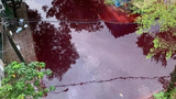 Truy tìm nguyên nhân 2 con đường ở TP HCM ngập nước màu đỏ