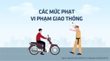 Các mức phạt lỗi giao thông thường gặp