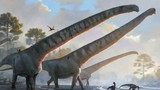 Hóa thạch ở Trung Quốc tiết lộ khủng long có cổ dài 15 mét 