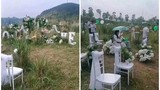 Làm đám cưới hòa mình thiên nhiên, cặp đôi khiến netizen tá hỏa