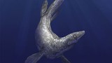 Thủy quái lạ 94 triệu tuổi