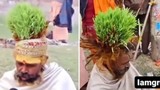 Người đàn ông trồng cỏ trên đầu, lấy tóc làm phân bón