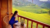 Tọa độ “săn” mùa lúa chín đẹp nhất Việt Nam