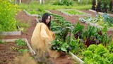 Cô gái về Mộc Châu chi 300 triệu cải tạo nhà kho thành homestay 