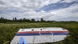 Mỹ không có bằng chứng Nga liên quan tới MH17