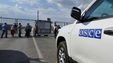 Quan sát viên OSCE rời biên giới Nga do đạn pháo Ukraine
