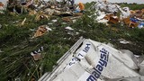 Vụ MH17: Báo Nga tố tỷ phủ Ukraine định ám sát Putin