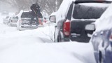 Nước Mỹ chìm trong bão tuyết lịch sử