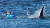 Video: Cá mập tấn công vận động viên lướt sóng