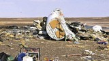 Cơ phó phàn nàn về tình trạng máy bay Nga rơi ở Ai Cập