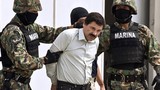 Mánh khóe siêu tinh vi của trùm ma túy El Chapo