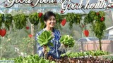 Cựu Thủ tướng Thái Lan Yingluck tươi tắn ở nông trang