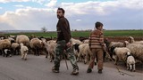 Đất nước Syria im tiếng súng sau 5 năm nội chiến