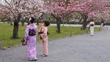 10 điều thú vị chỉ có ở đất nước Nhật Bản