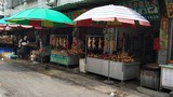 Ảnh lễ hội thịt chó ở Trung Quốc gây tranh cãi