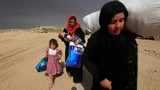 Ảnh: Thường dân Iraq lũ lượt chạy khỏi thành phố Mosul