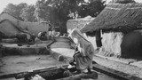 Cuộc sống làng quê ở Ấn Độ năm 1962 qua ảnh
