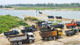 Hàng trăm xe tải xếp hàng chờ mua cát trên sông Trà Khúc