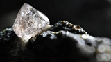 Phát sốt xác sinh vật chết biến thành... kim cương quý nhất hành tinh 