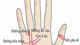 Bàn tay có 4 đường này may hết phần thiên hạ, chỉ 1/4 cũng đủ giàu 