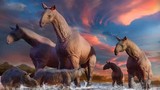 4 loài động vật có chiếc cổ dài nhất trong lịch sử trái đất