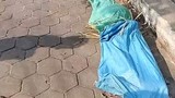 Vụ thi thể nữ giới trong bao tải: Đã bắt được nghi phạm