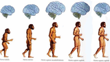 Video: Sự thật về bộ não người 3.000 năm trước