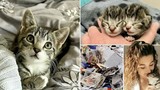 Video: Hành trình sống sót kỳ diệu của hai chú mèo mồ côi tội nghiệp
