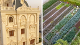 Video: Vườn rau trong khu nhà giàu cũng phải “khác bọt”