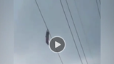 Video: Bé gái gào thét kêu cứu khi bị treo lơ lửng trên dây điện cao 15 mét