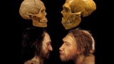 Người Neanderthal tuyệt chủng vì quan hệ tình cảm với... loài người? 