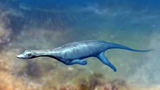 Bất ngờ thủy quái “cực lạ” 244 triệu tuổi hiện nguyên hình ở Trung Quốc