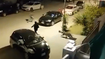 Video: Bị truy bắt, báo hoa mai điên cuồng tấn công nữ sĩ quan