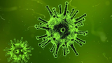 Virus zombie 48.000 tuổi bất ngờ “hồi sinh”, chuyên gia cảnh báo nóng 