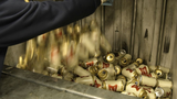 Bỉ tiêu hủy hàng nghìn lon bia Mỹ vì một từ