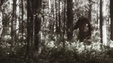 Giật mình những bí ẩn ít ai biết về “quái vật” Bigfoot