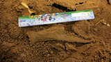 Phát hiện hóa thạch loài thú cổ trong hang động Vịnh Hạ Long 