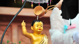 Lễ Phật Đản 2023: Việc nên làm để gia tăng phước báu