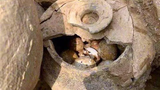 Vì sao giới khảo cổ luôn run sợ khi nhìn thấy trứng trong mộ cổ?