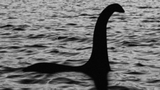 Đi dạo, rùng mình đụng trúng... “quái vật hồ Loch Ness" dạt vào bờ