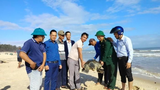 Rùa biển cổ đại cực hiếm, mắc lưới ngư dân ở Quảng Trị