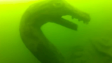 Bí ẩn trăm năm về quái vật Ogopogo ở hồ Okanagan 