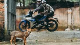 Dân làng bắt giam kẻ trộm chó rồi đánh tới chết ở Gia Lai