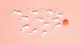 Sau mắc COVID-19, khả năng sinh sản của nam giới bị ảnh hưởng bao lâu?