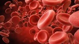 Nhóm máu nào có nguy cơ mắc đột quỵ cao nhất?