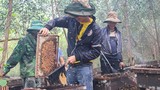 "Đánh bài lật ngửa" thu lãi trăm triệu với nghề nuôi ong di cư