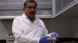 Mexico: Bác sỹ giúp người chết nói lên sự thật