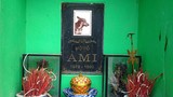 Chuyện chưa kể về ngôi mộ “chó tổ” duy nhất tại Việt Nam
